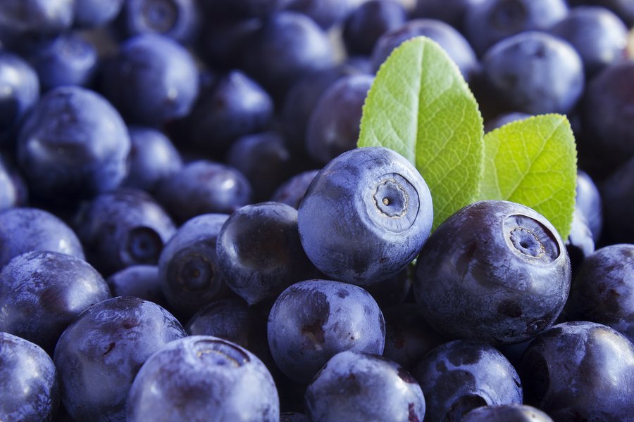 Bilberry fruit